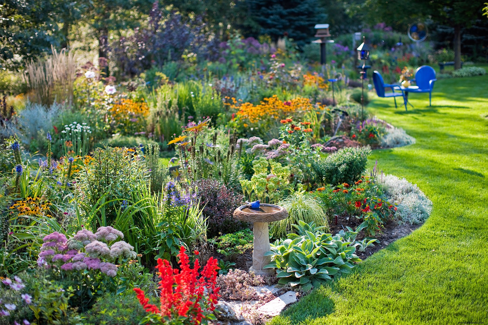 10 maneras fáciles de atraer coloridos pájaros cantores a su jardín 