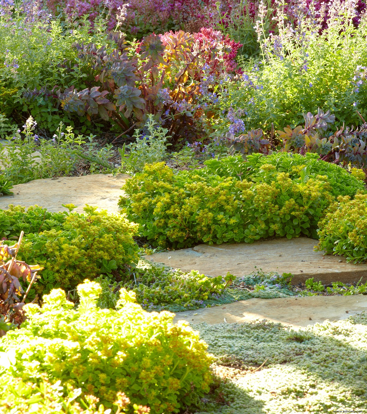 10 consejos de jardinería sostenible para hacer que su jardín sea más ecológico 