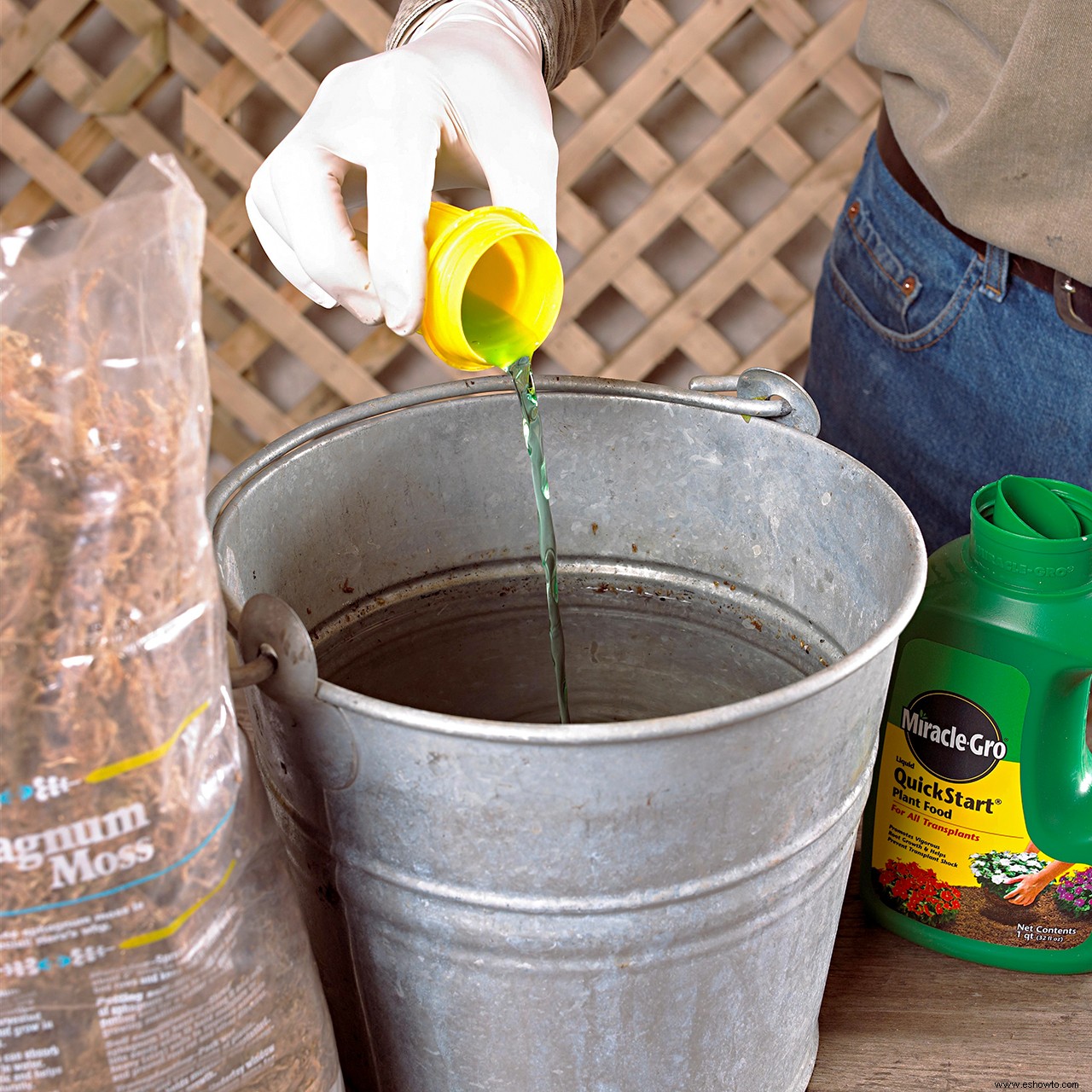 Guía de plantación de plantas perennes 