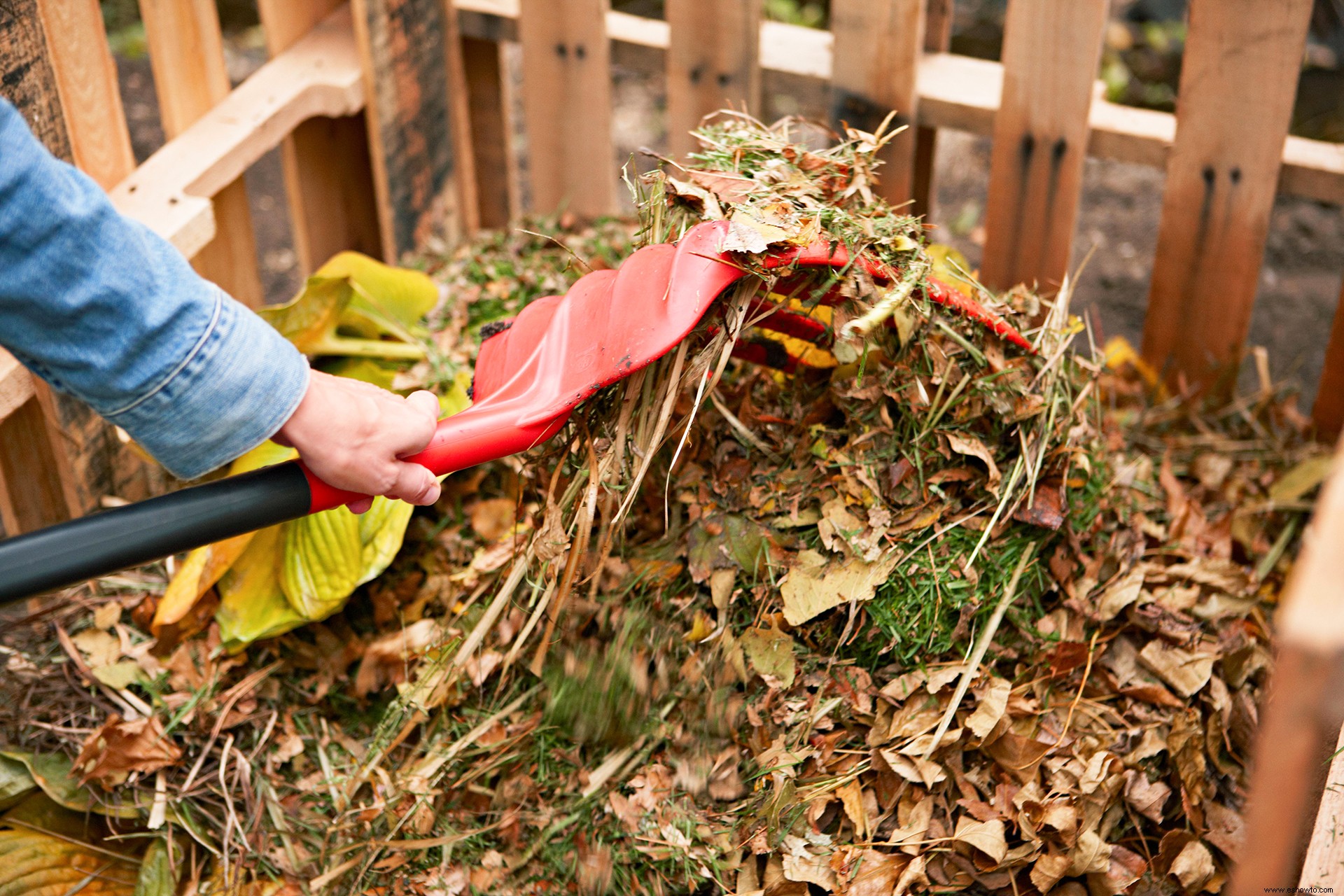 25 consejos de jardinería que todo jardinero debe saber 