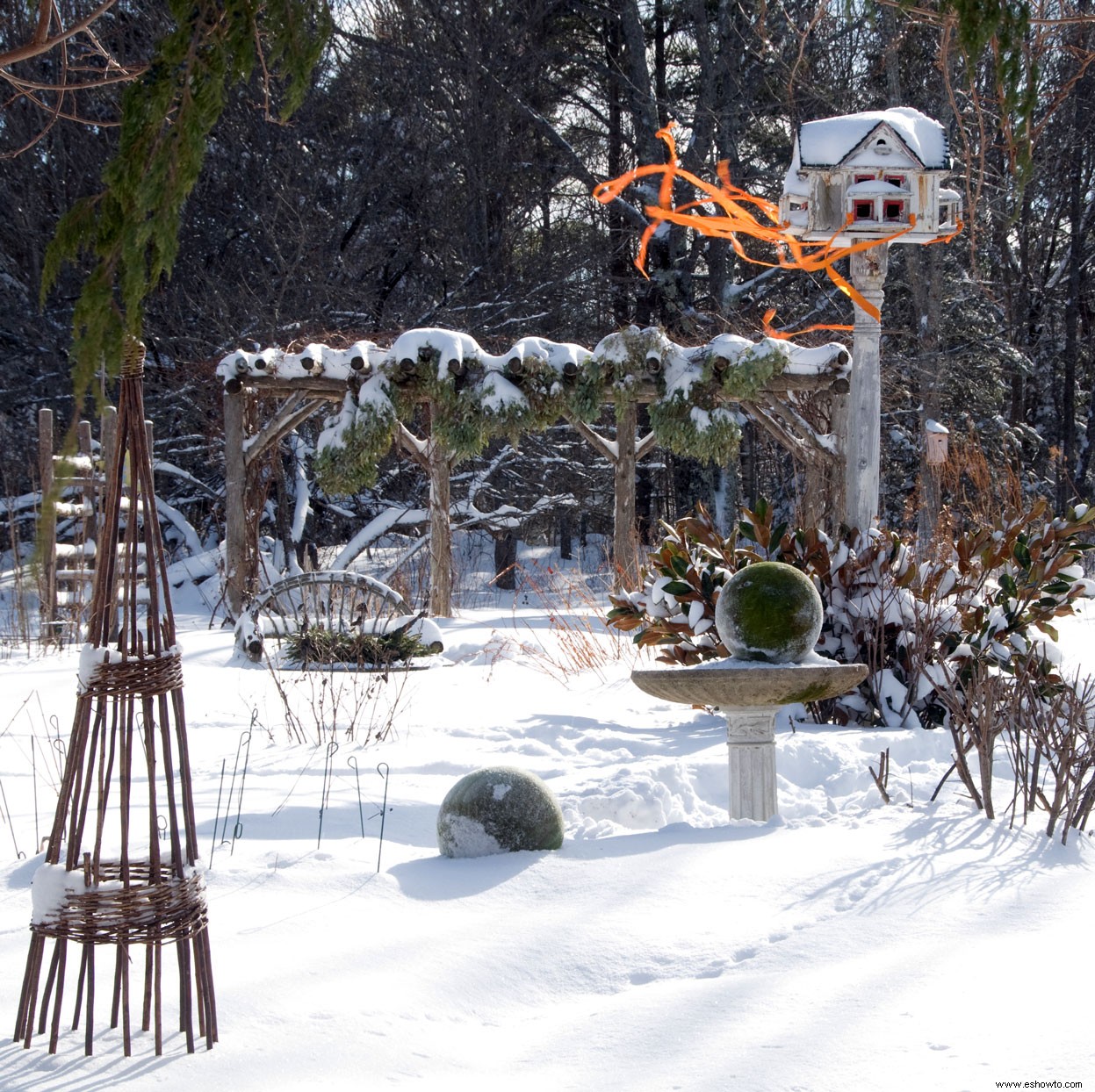 6 consejos de paisajismo invernal para realzar el color de su jardín durante toda la temporada 