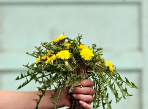 Cómo eliminar malas hierbas de forma natural sin dañar tus plantas