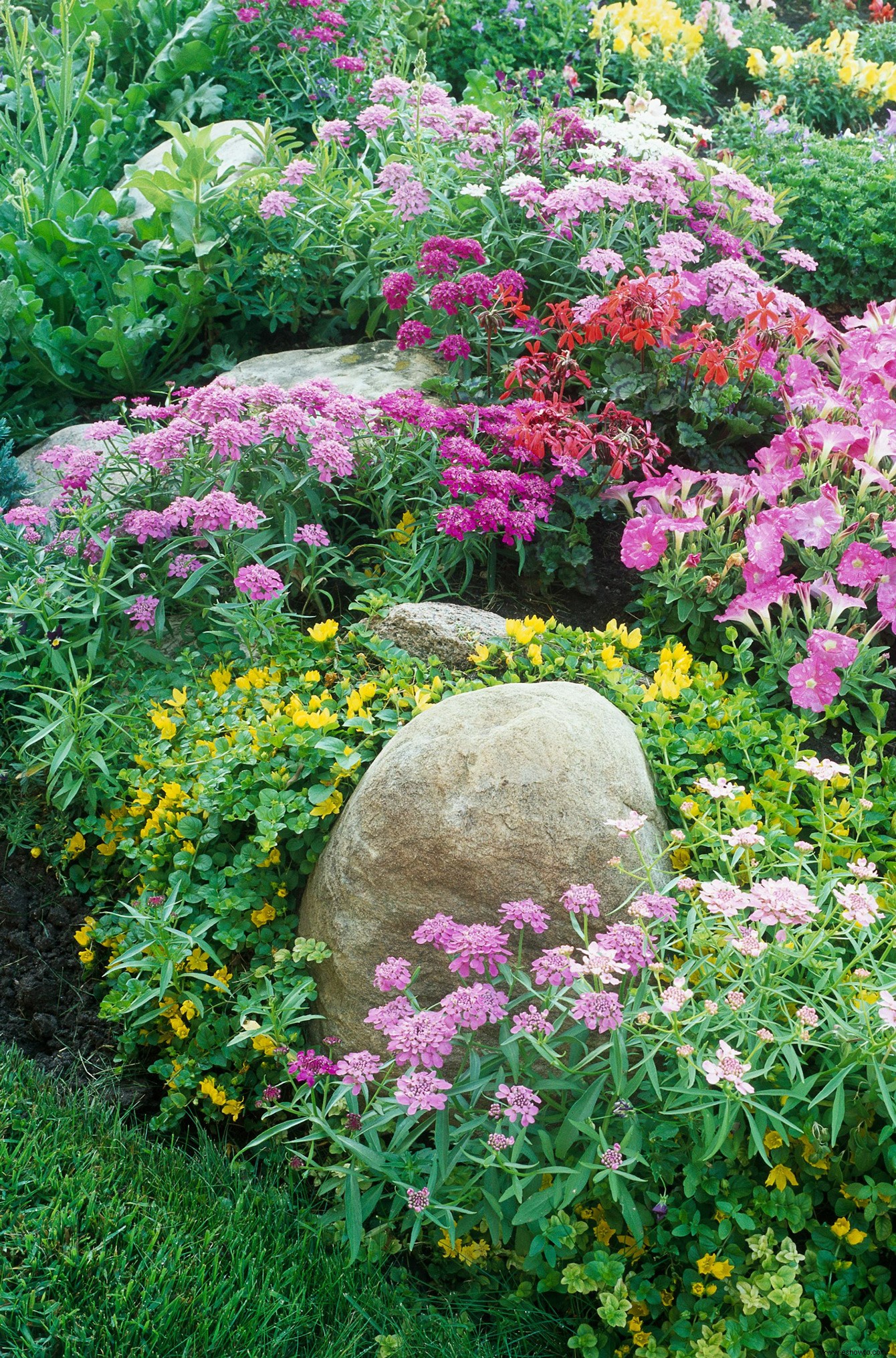 6 consejos para crear un jardín de campo de bajo mantenimiento que esté lleno de flores 