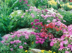 6 consejos expertos para un jardín cottage de bajo mantenimiento rebosante de flores