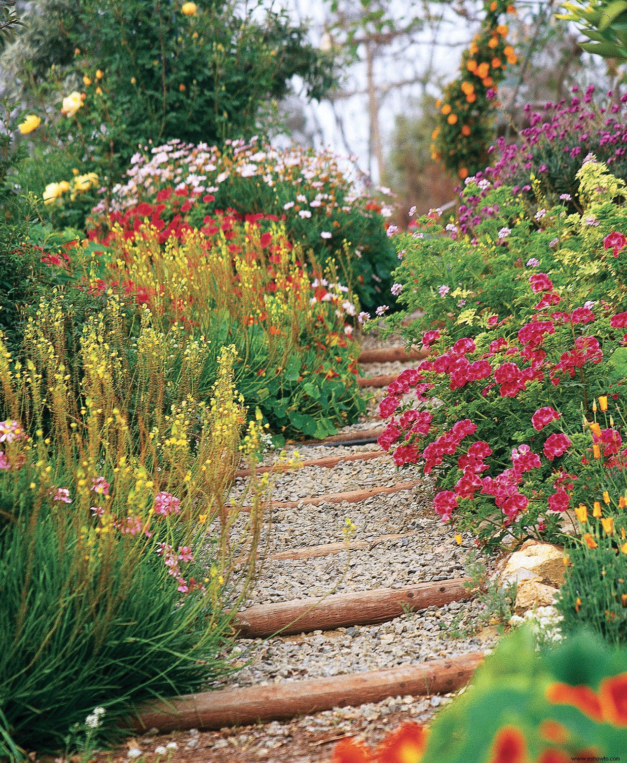 6 consejos para crear un jardín de campo de bajo mantenimiento que esté lleno de flores 