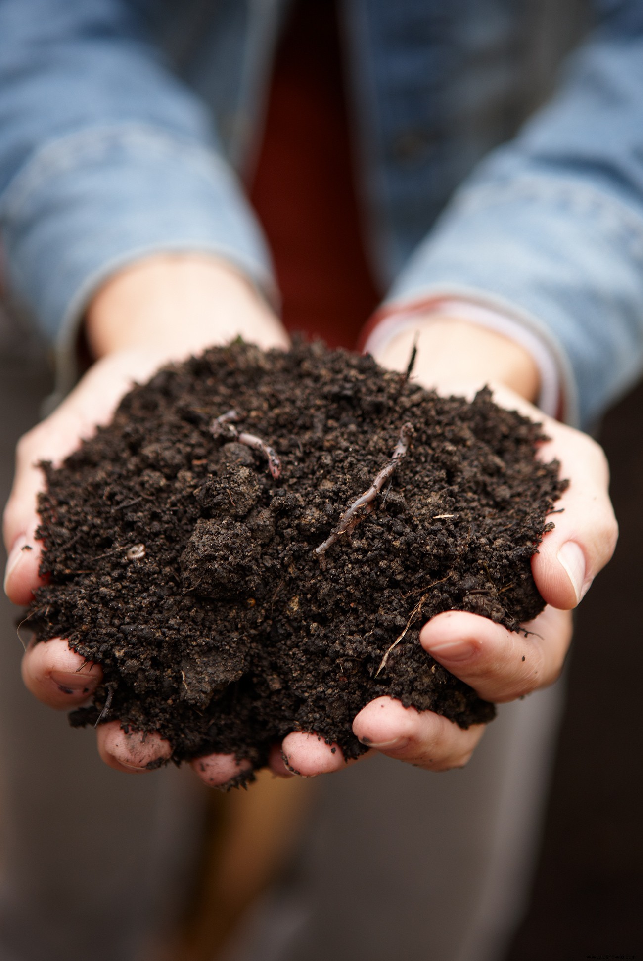 Su guía paso a paso sobre cómo hacer compost para enriquecer su jardín 