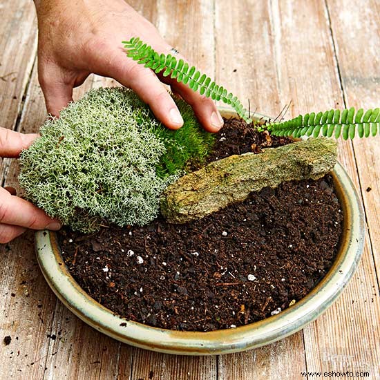 Cómo hacer un jardín de musgo de mesa 