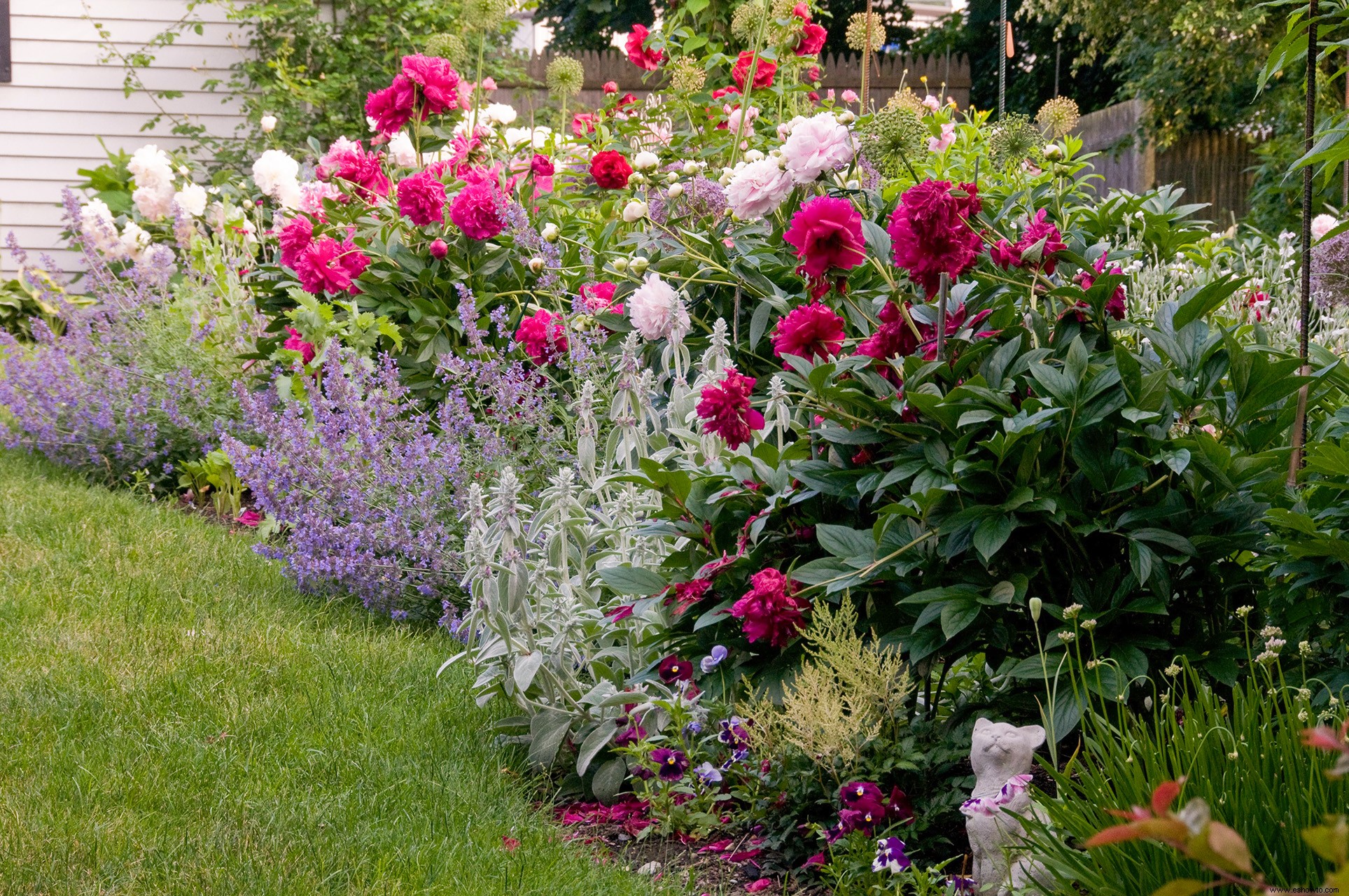 5 sencillos pasos para plantar un jardín de flores lleno de color 