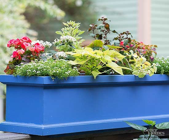 10 errores de jardinería en contenedores que incluso los buenos jardineros cometen 