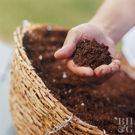 10 errores en la horticultura que cometen incluso los buenos jardineros 