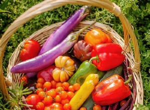 10 Errores Comunes en Horticultura que Cometen Incluso los Jardineros Experimentados