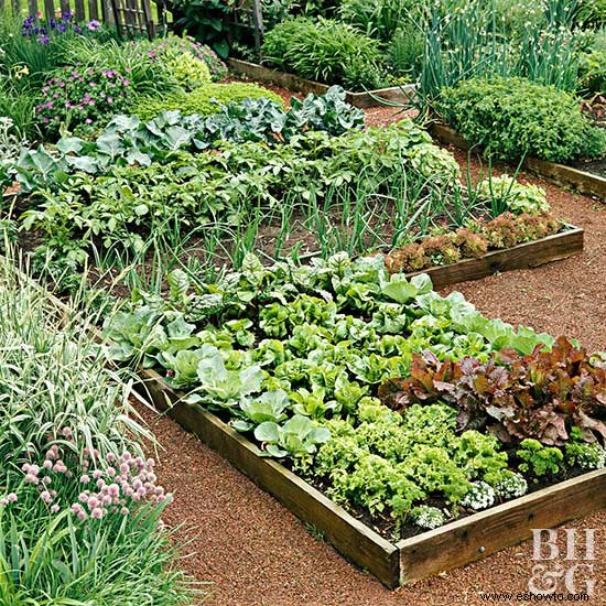 10 errores en la horticultura que cometen incluso los buenos jardineros 