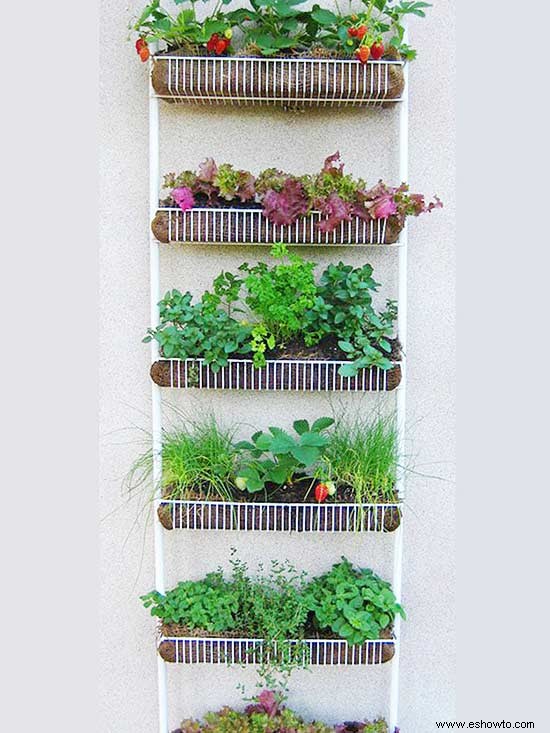 9 jardines verticales de bricolaje para mejores hierbas 