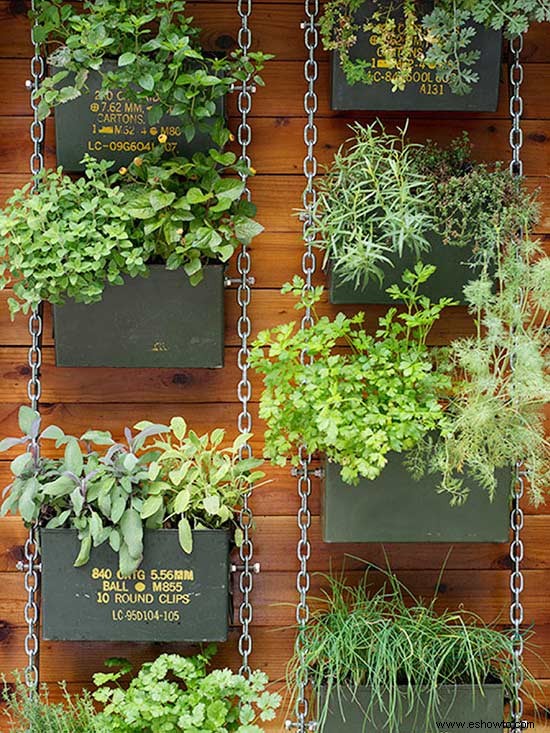 9 jardines verticales de bricolaje para mejores hierbas 