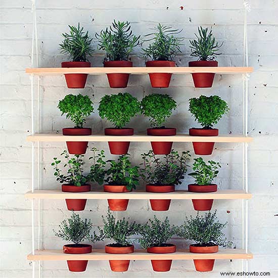 9 jardines verticales de bricolaje para mejores hierbas 