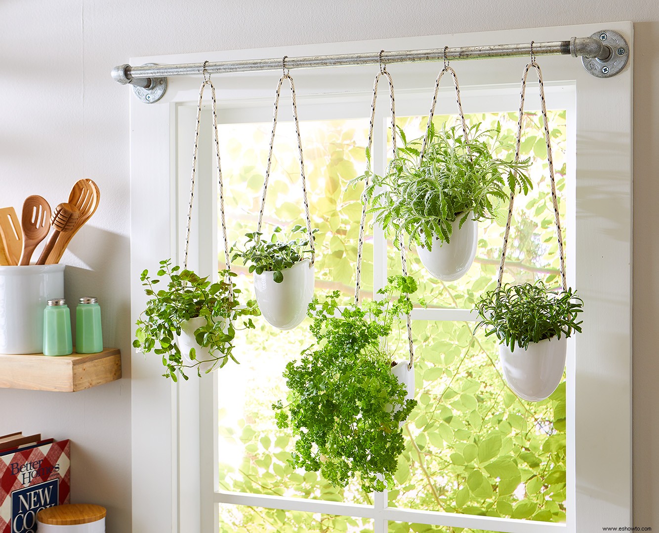 Cómo cultivar hierbas en interiores en el alféizar de una ventana soleada 