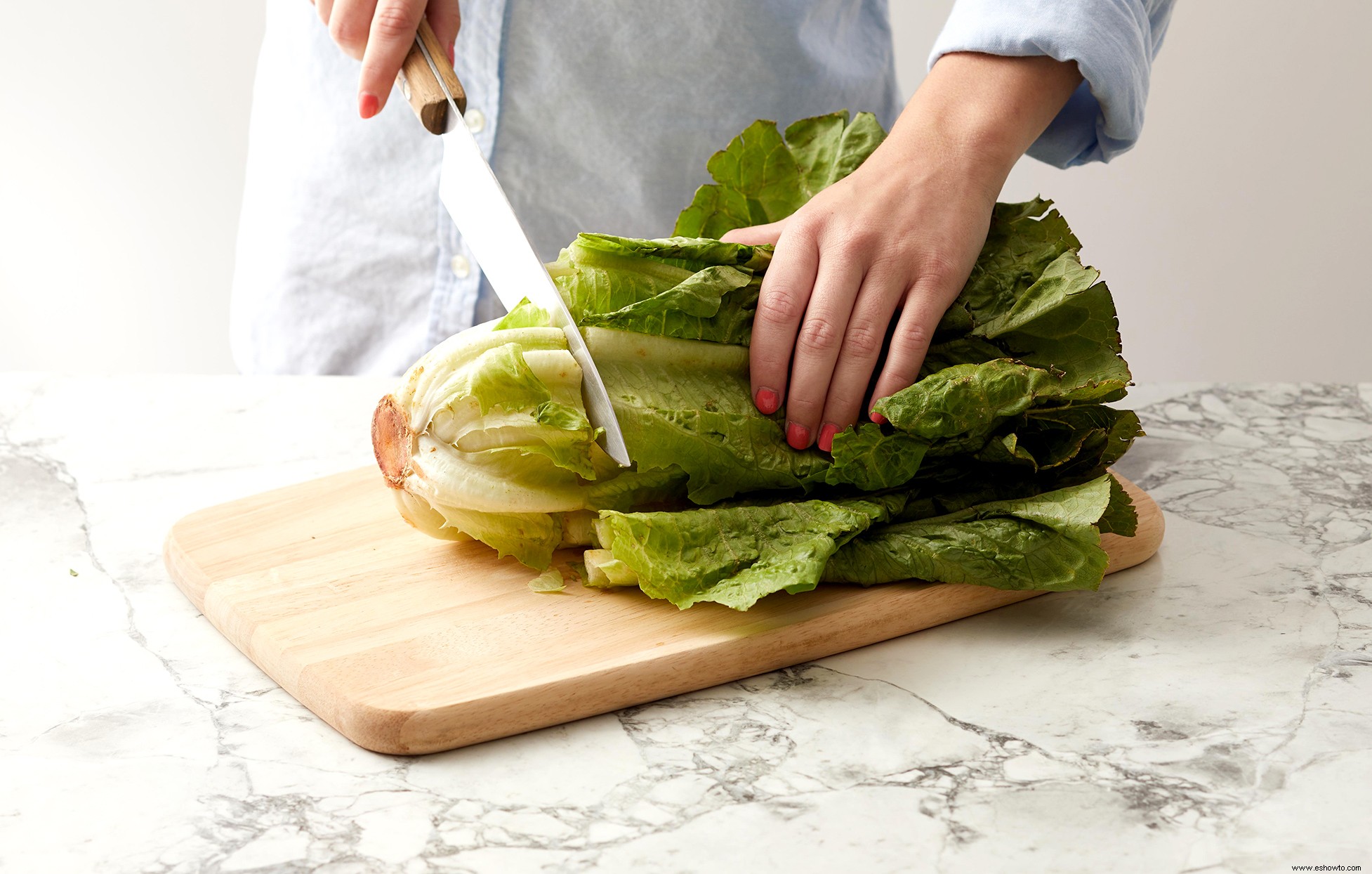 6 verduras y hierbas que son increíblemente fáciles de volver a cultivar a partir de restos de cocina 