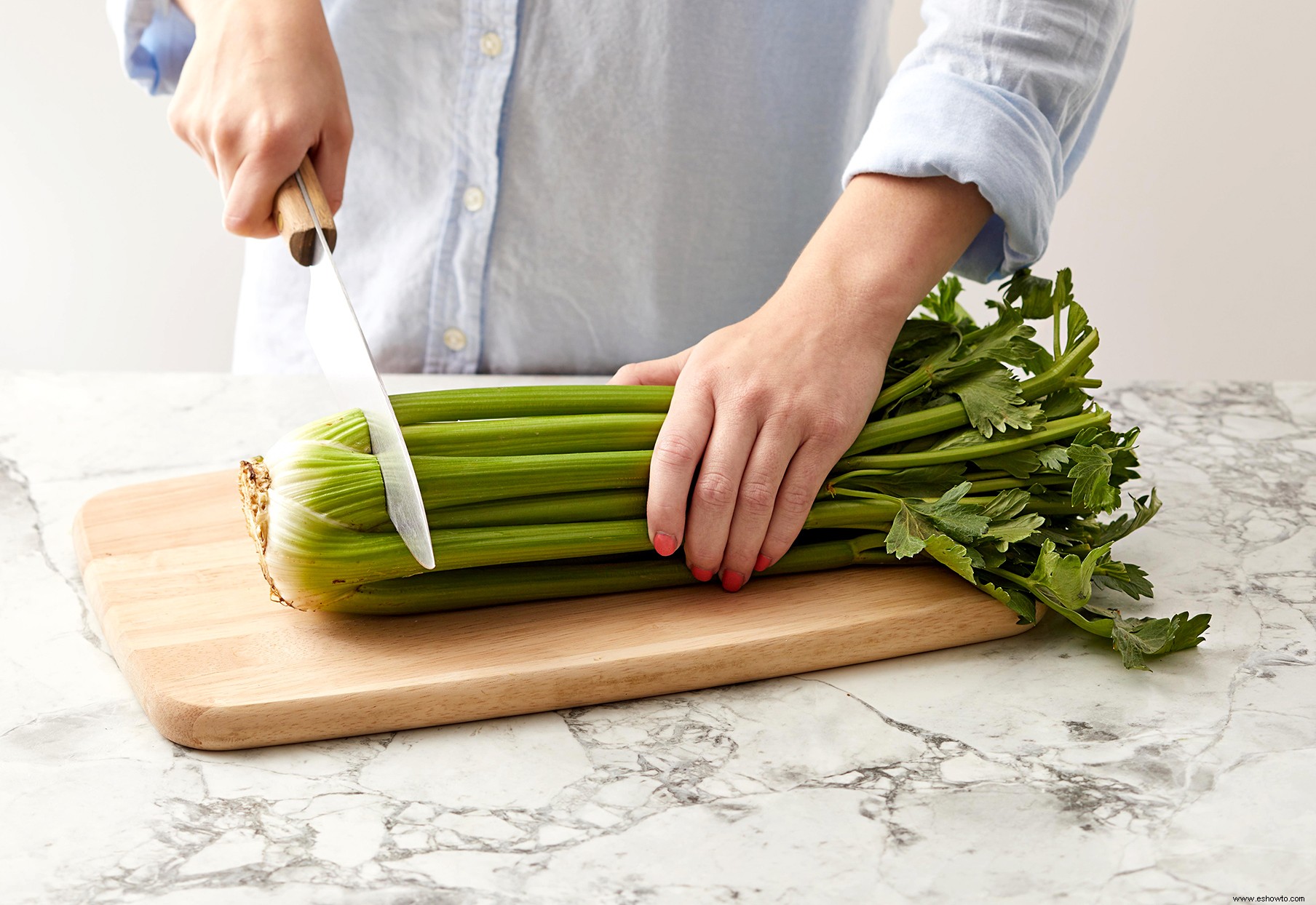 6 verduras y hierbas que son increíblemente fáciles de volver a cultivar a partir de restos de cocina 