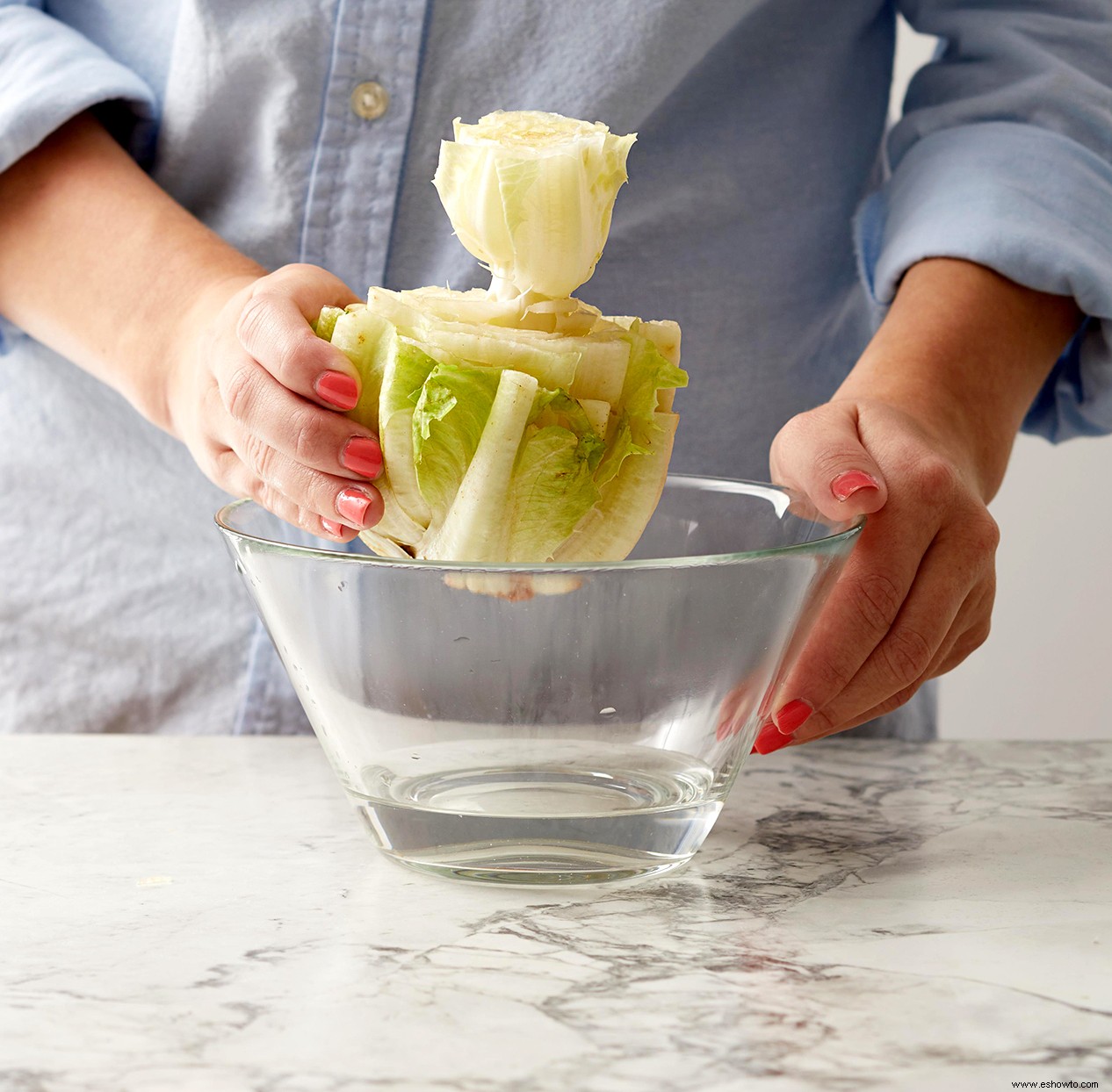 6 verduras y hierbas que son increíblemente fáciles de volver a cultivar a partir de restos de cocina 