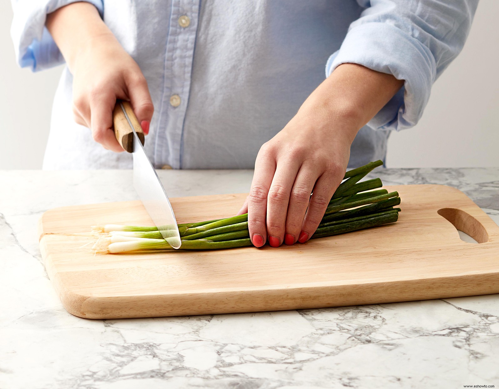 6 verduras y hierbas que son increíblemente fáciles de volver a cultivar a partir de restos de cocina 