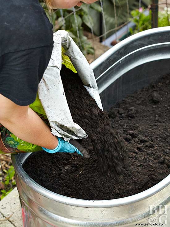 5 consejos para la jardinería en macetas 