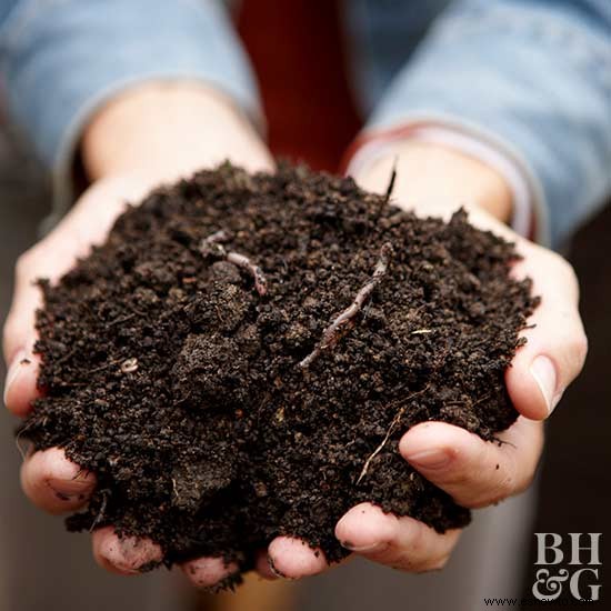 5 consejos para la jardinería en macetas 