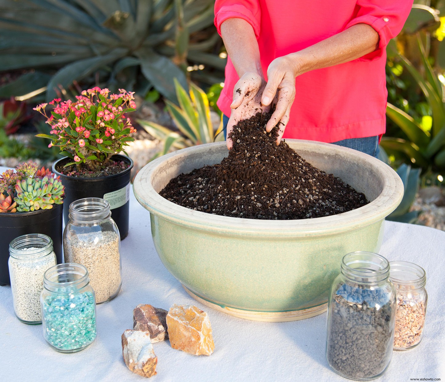 hacer un mini jardín de suculentas en una maceta 