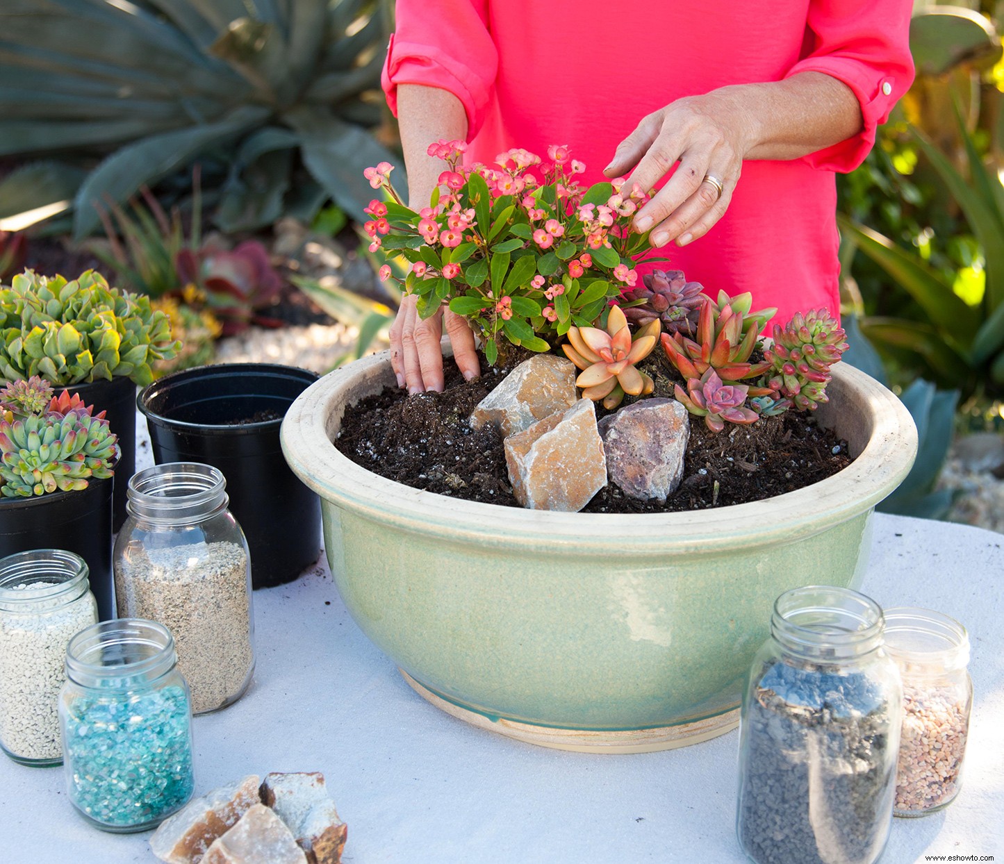 hacer un mini jardín de suculentas en una maceta 