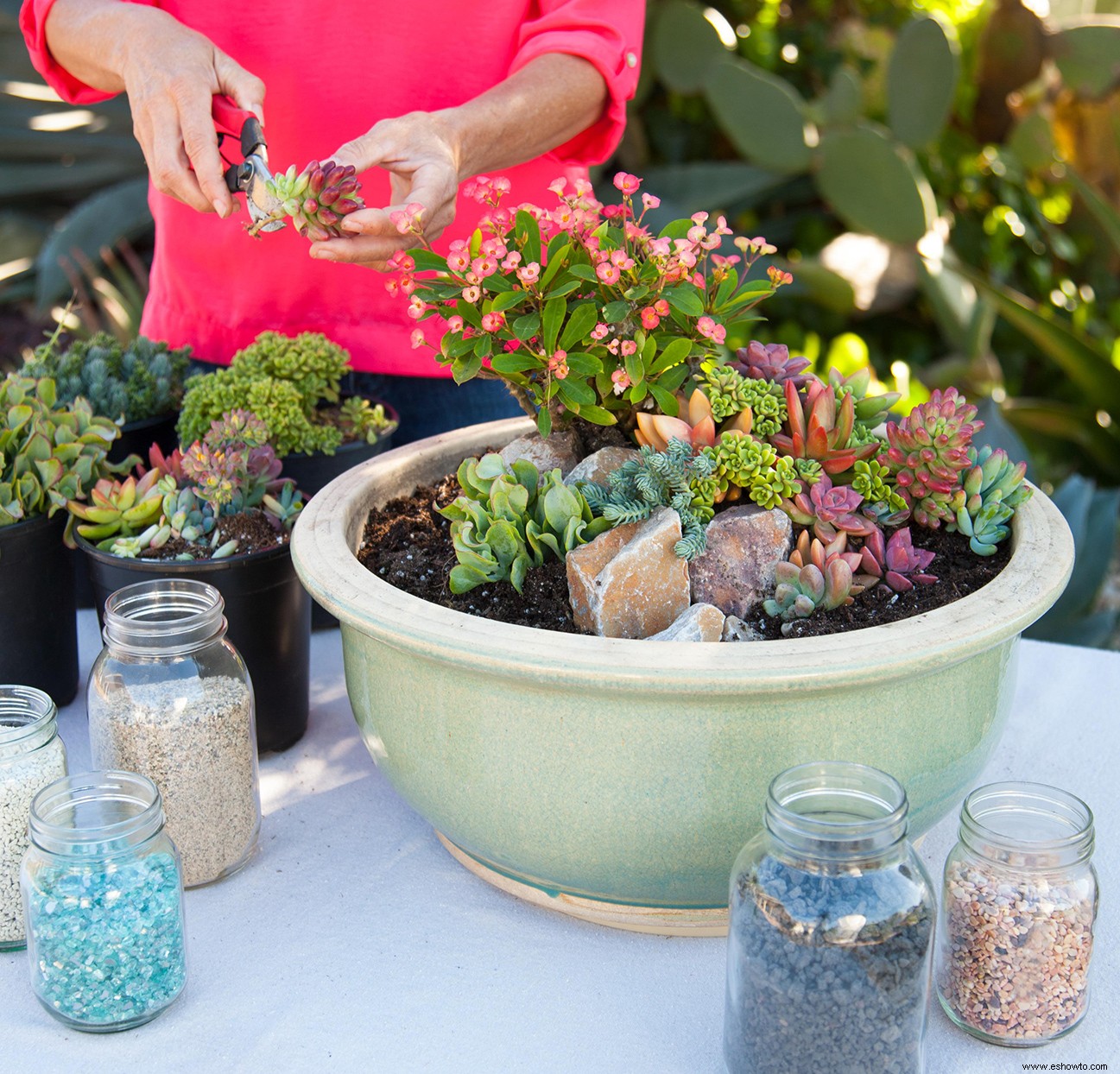 hacer un mini jardín de suculentas en una maceta 