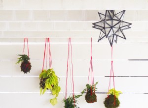 6 consejos esenciales para crear y mantener vivo tu kokedama