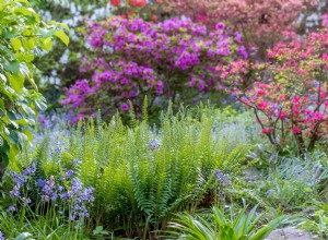 5 Tareas Esenciales para Preparar tu Jardín Perfecto esta Primavera