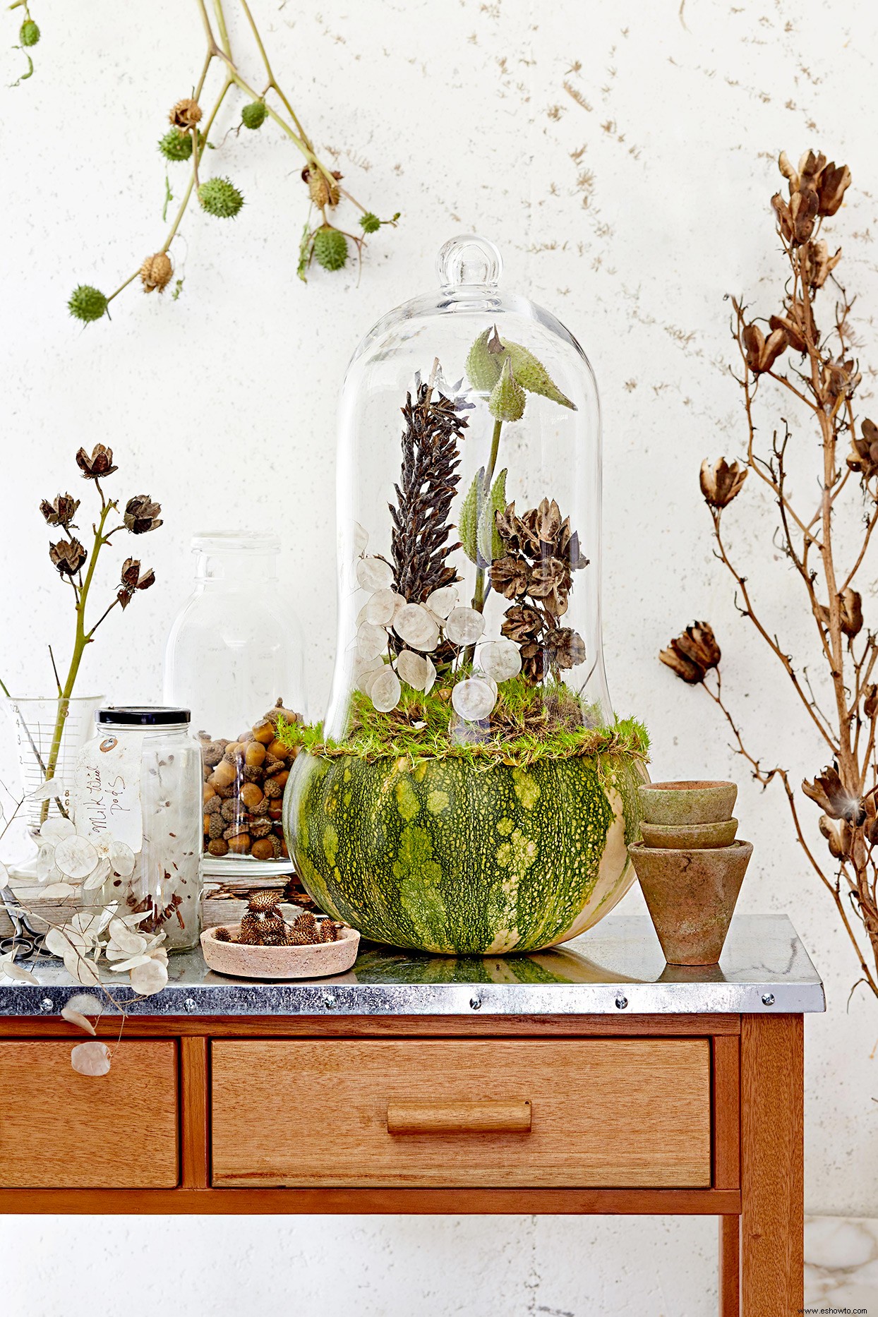 5 ideas absolutamente asombrosas para usar vainas de semillas de temporada en tu decoración de otoño 