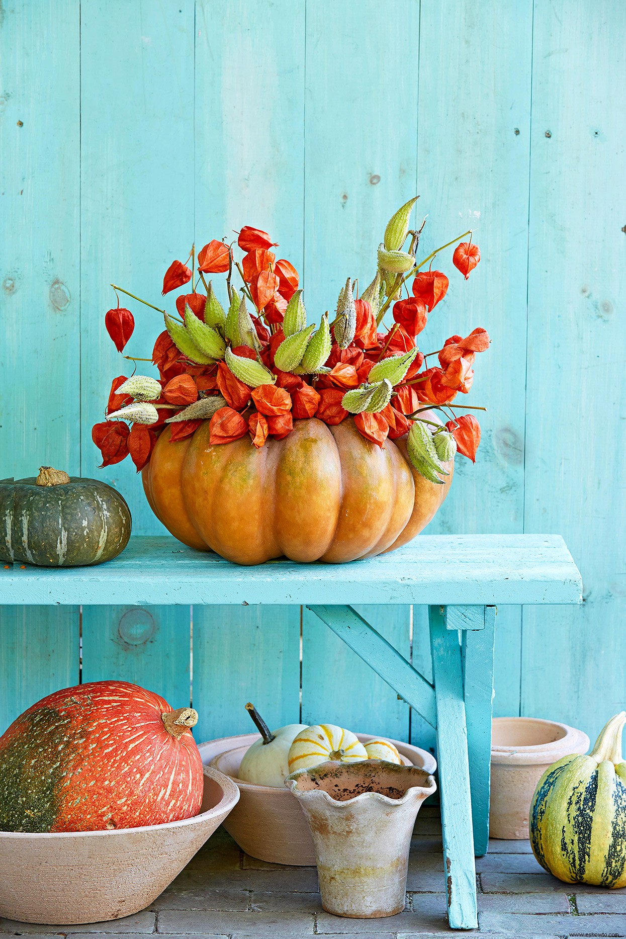 5 ideas absolutamente asombrosas para usar vainas de semillas de temporada en tu decoración de otoño 