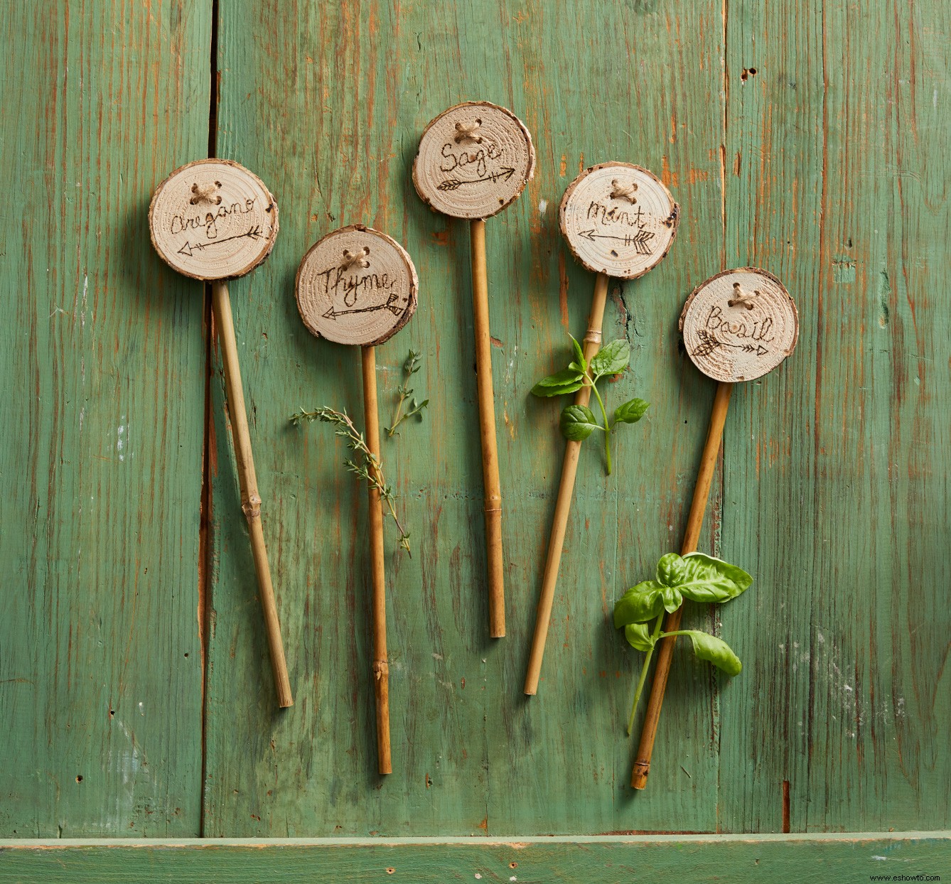 5 fáciles marcadores de plantas de bricolaje para mantener su jardín organizado 