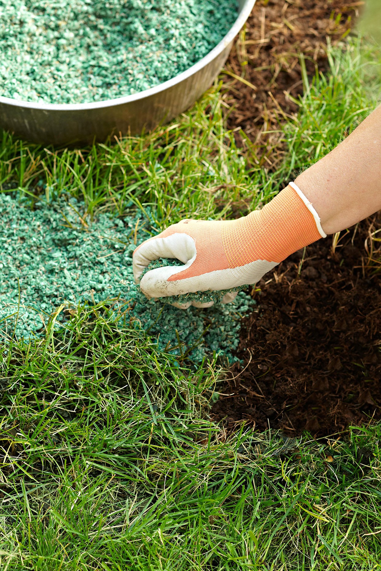 Fertilizante orgánico para un césped saludable 