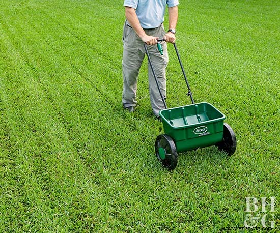 Cómo preparar su césped para el invierno 