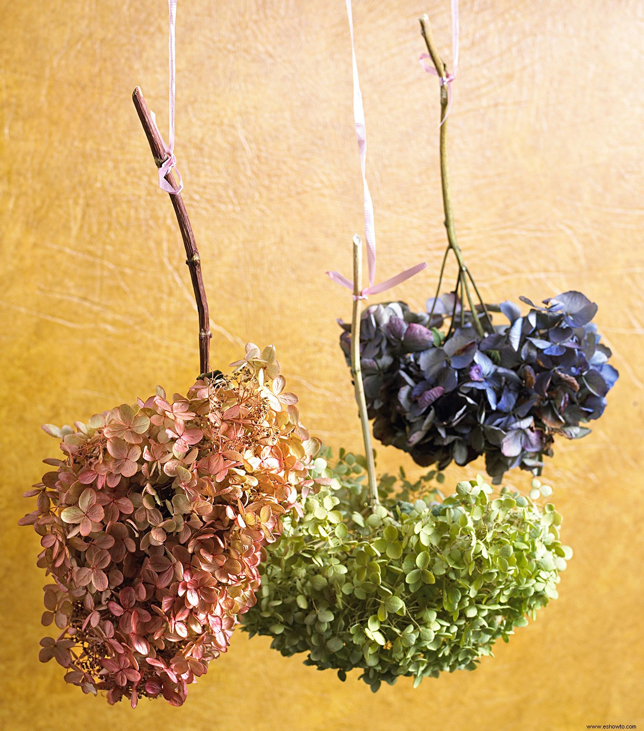 3 trucos para probar con tus hortensias y aprovechar al máximo estas hermosas flores 