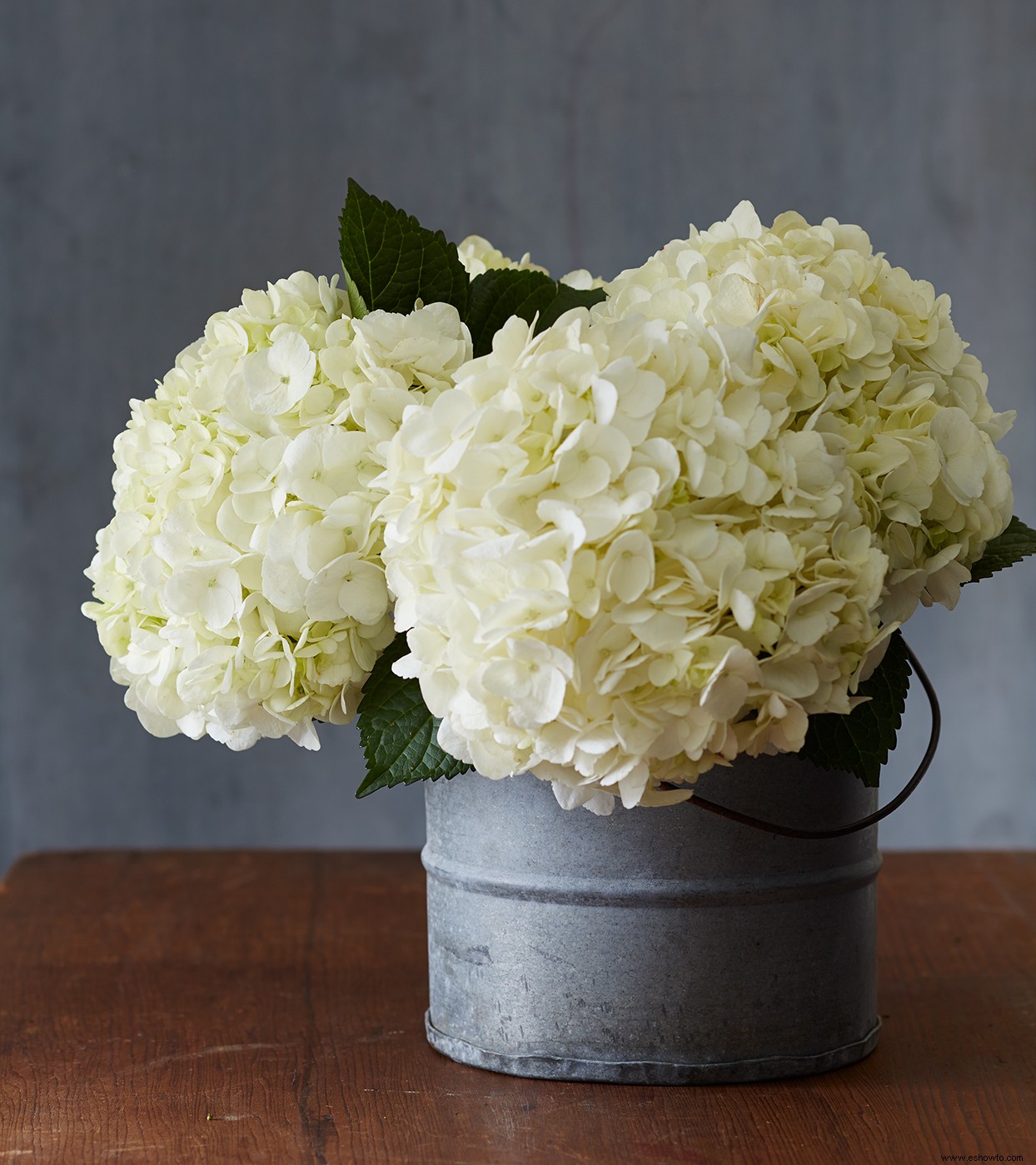 3 trucos para probar con tus hortensias y aprovechar al máximo estas hermosas flores 