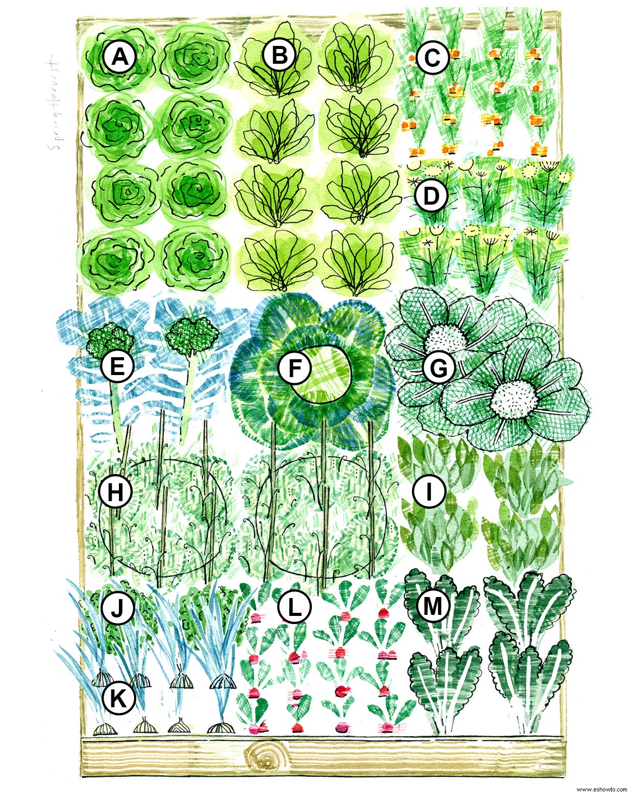 Plan de camas elevadas de 3 estaciones 