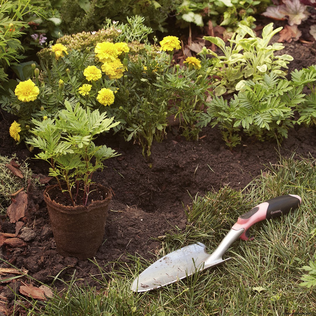 9 herramientas de jardín que hacen la vida más fácil 