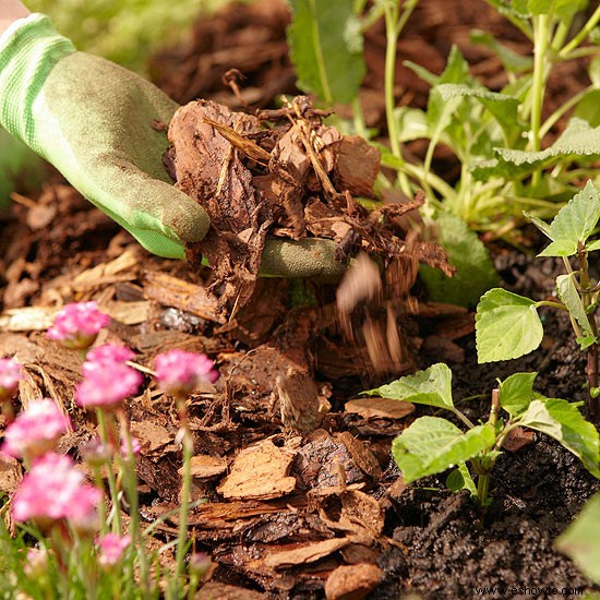 9 herramientas de jardín que hacen la vida más fácil 