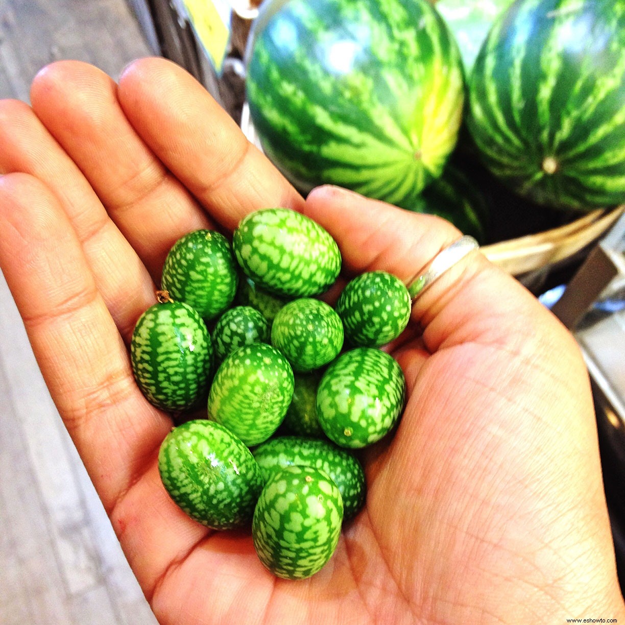 Los cucamelones son el superalimento más lindo que puedes cultivar tú mismo 