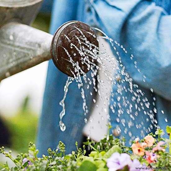 Comprensión de la información sobre las etiquetas de plantas 