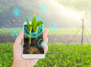 Súper Sensor de Jardín Conectado: Planifica tu Jardín con Realidad Aumentada