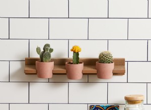 5 ideas creativas y fáciles para exhibir plantas de interior en casa
