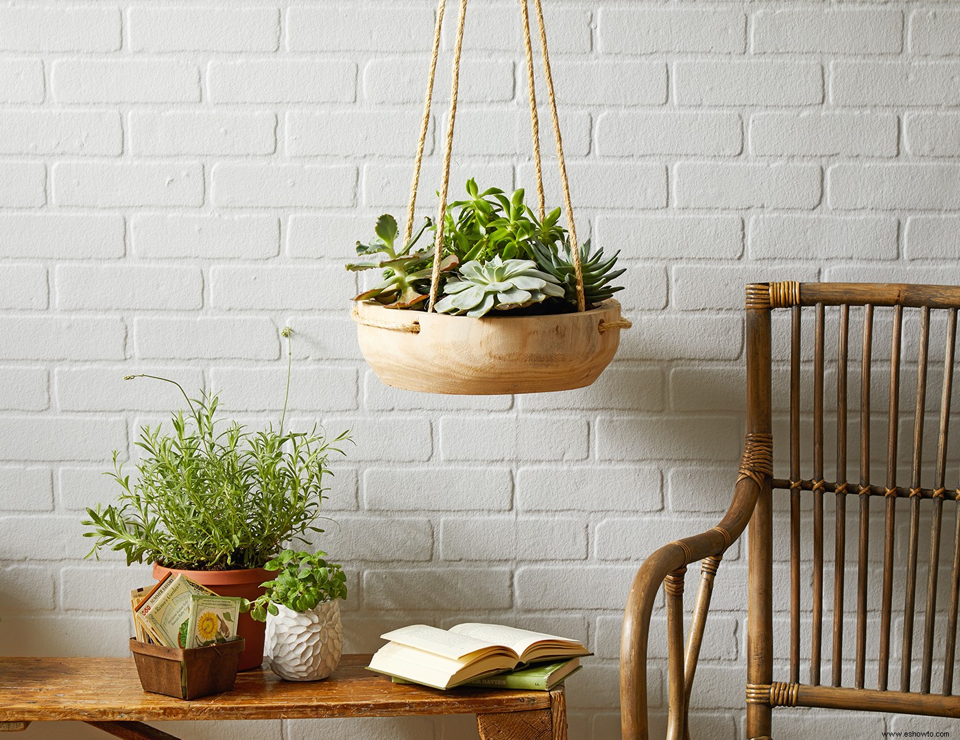 5 nuevas formas de exhibir plantas de interior 