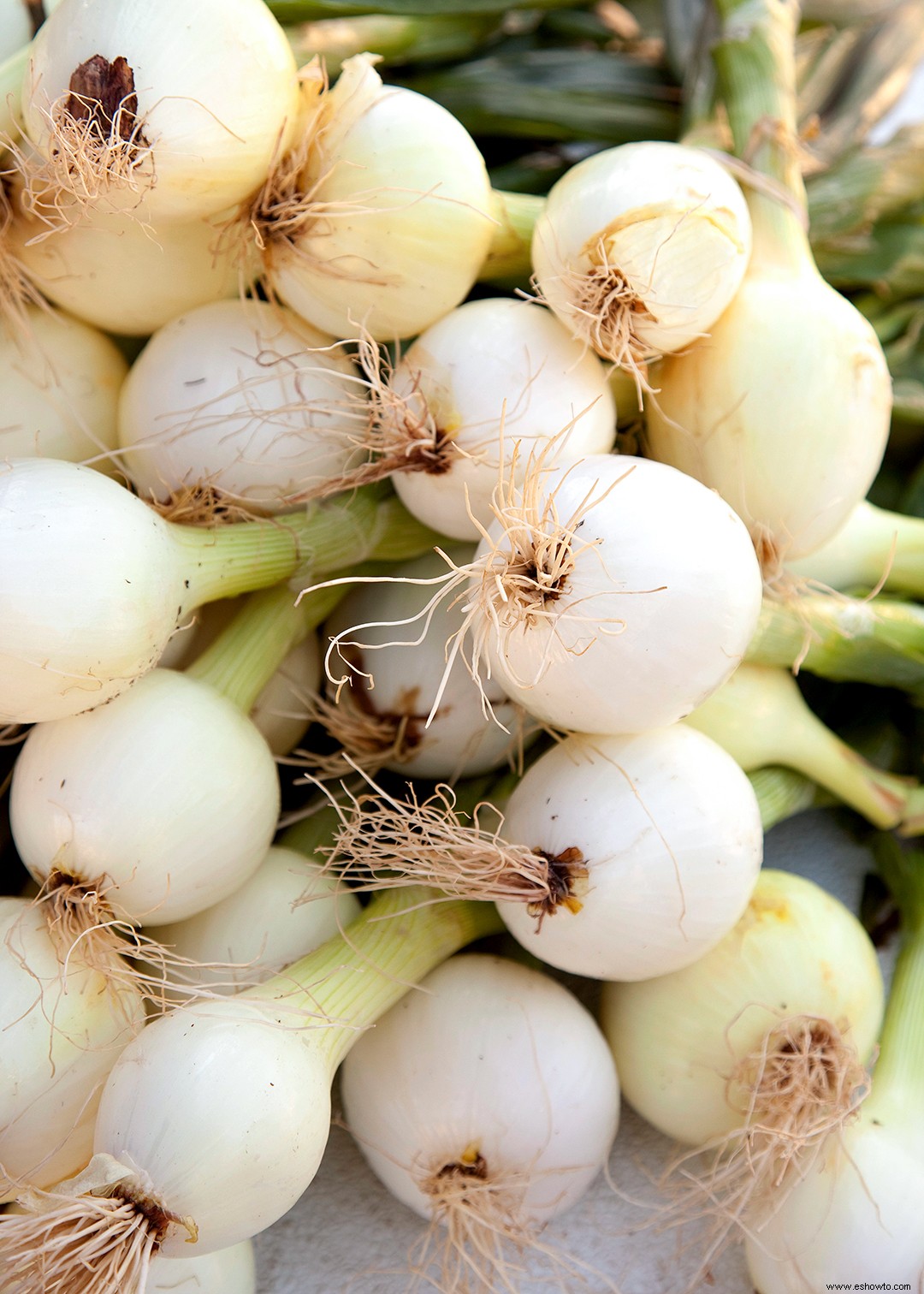 9 verduras y frutas en miniatura que puedes cultivar en tu jardín 