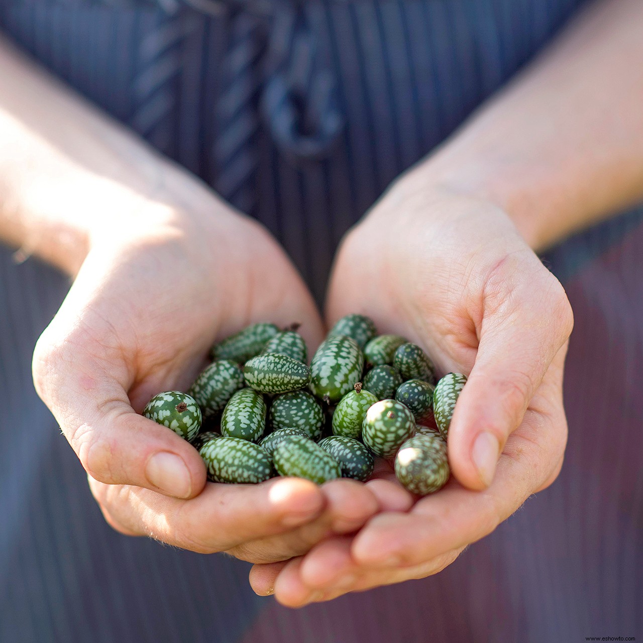 9 verduras y frutas en miniatura que puedes cultivar en tu jardín 