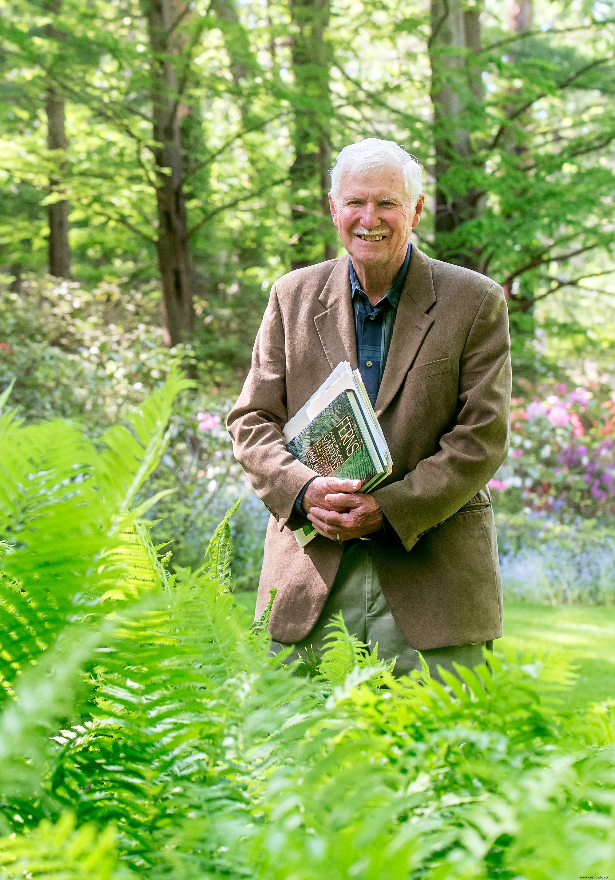 Este hermoso jardín de helechos muestra que estas plantas no son solo rellenos 