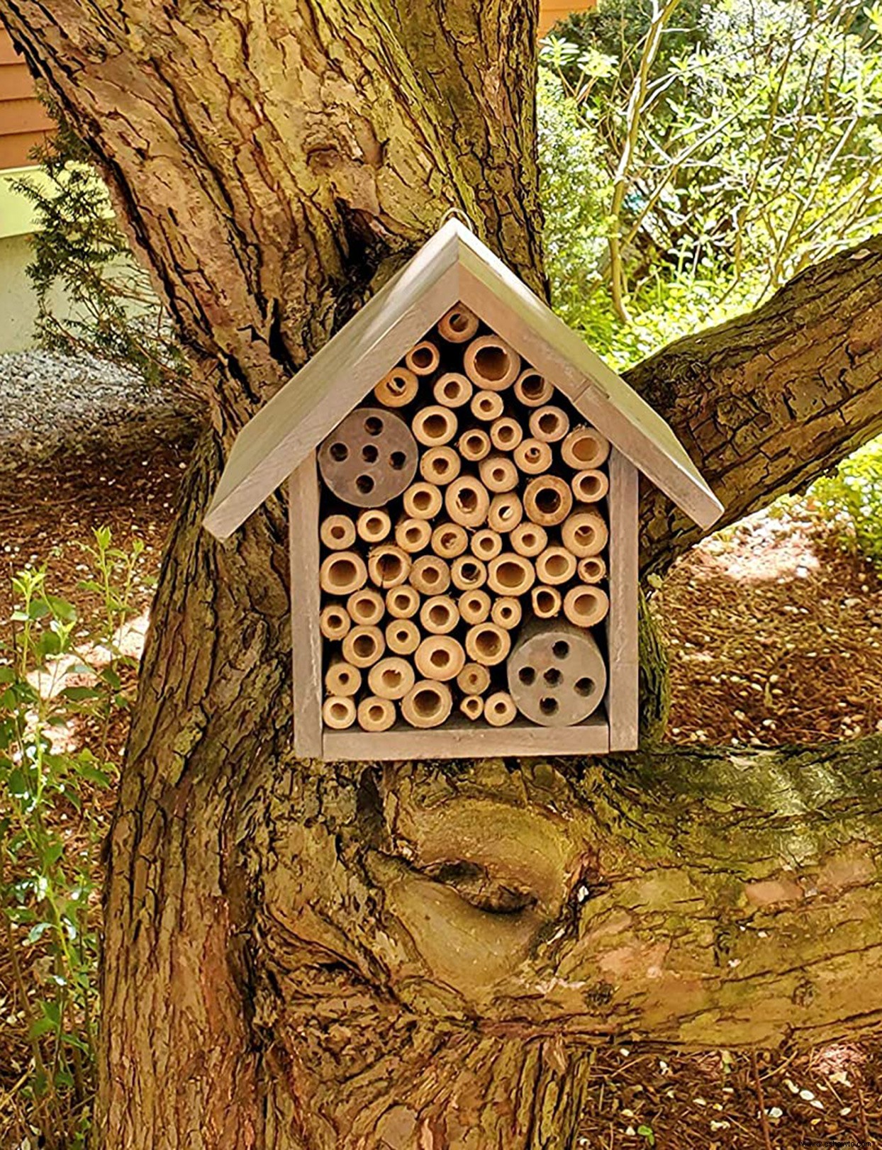 5 sencillos consejos para crear un paisaje propicio para las abejas 